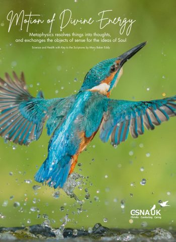 CSNA (UK) Oct Learning Event A4